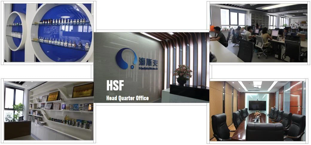 Head Quarter Office Head Quarter Office