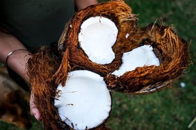 Health benefits of coconut meat