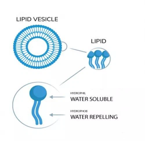 Liposomal vitamin C Liposomal vitamin C