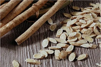 Hvad gør fermenteret Astragalus-ekstraktpulver?